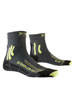 Anthracite/Lime