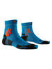 Teal Blue / Sunset Orange